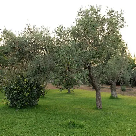 Tenuta Ricco With Pool And Garden Apartamento *